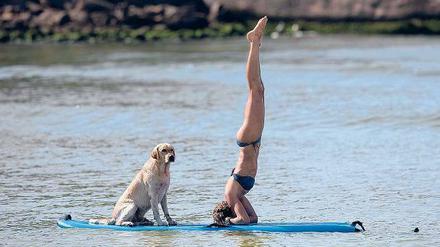 Perspektivwechsel. Beim SUP-Yoga werden verschiedene Körperstellungen auf dem Paddelbrett direkt im Wasser ausgeführt. Vom „herabschauenden Hund“ bis zum Kopfstand ist alles möglich.