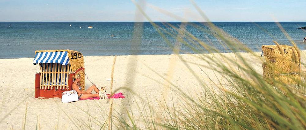 Urlaub in Deutschland. Fast alle Ostseeküsten und 99 Prozent der deutschen Nordseeküste erfüllen die Badewasserstandards der EU.