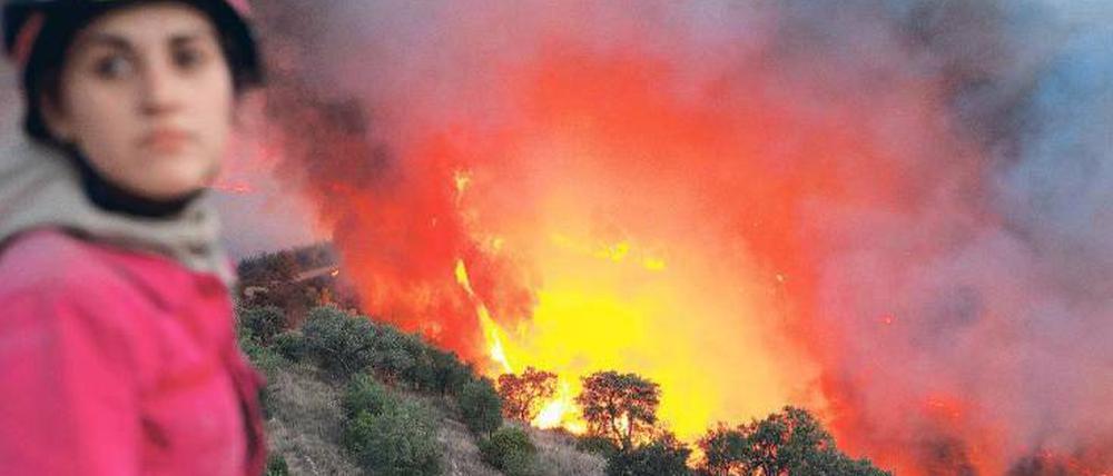 Lodernde Flammen an der Algarve. Hitze und Trockenheit sind die Ursache der Waldbrände, die in ganz Südeuropa immer wieder aufflammen.