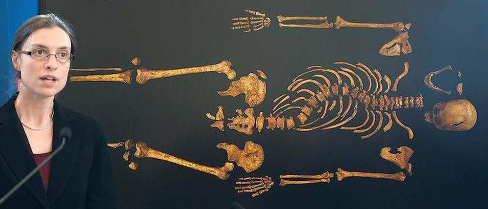 Gekrümmte Wirbelsäule. Die Forscherin Jo Appleby stellte am Montag erstmals in der Öffentlichkeit das Skelett vor. 