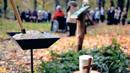 Alternative zum klassischen Friedhof. In einigen Städten wie hier in Berlin können Urnen auch in Friedwäldern unter Bäumen beigesetzt werden. 