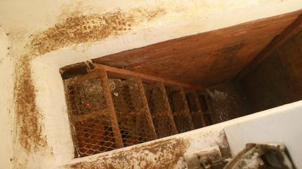 Durch diesen Tunnel hinter einem Schrank wollte der mexikanische Drogenboss "El Chapo" vor seiner Festnahme flüchten. 