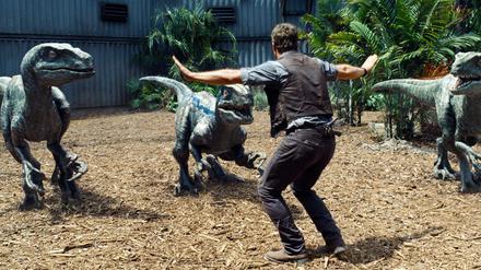 Owen Grady (Chris Pratt) unzingelt von Dinosauriern - eine Szene aus "Jurassic World". Der Film startete am 11.06.2015 in den deutschen Kinos.
