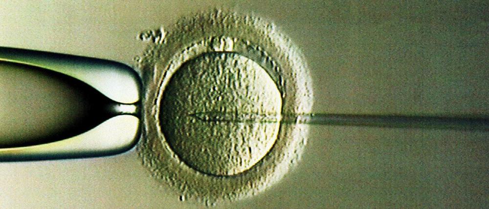 Künstliche Befruchtung mit dem Sperma ihres verstorbenen Mannes ist für die nicht rechtens. 