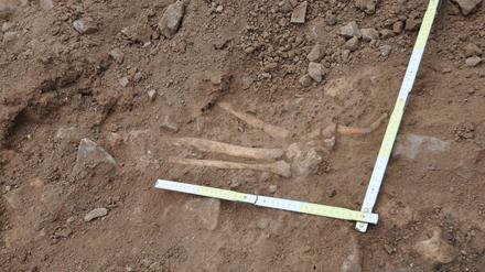 Bei einem Pool-Bau im Hartz wurden 500 Jahre alte menschliche Knochen entdeckt.
