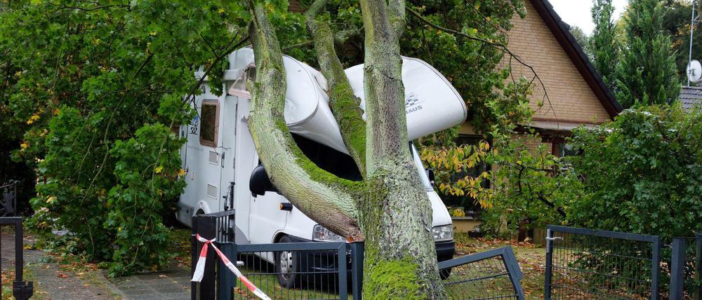 Ein umgekippter Baum hat in Berlin ein Wohnmobil getroffen.