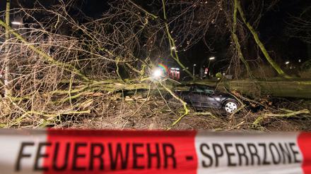 Ein zerstörtes Auto unter einem umgestürzten Baum im Hamburger Stadtteil Harvestehude