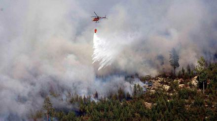 Ein einsamer Hubschrauber versucht die Flammen in den schwedischen Wäldern zu löschen.