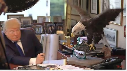 Donald Trump wird während eines Foto-Termins von einem Adler angegriffen. 