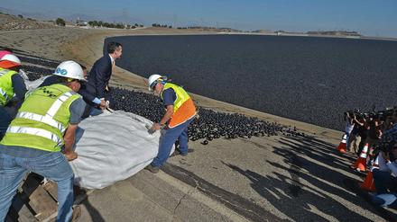 Ein Experiment. Mit Millionen schwarzer Plastikkugeln soll das knappe Wasser in den Reservoirs von Los Angeles vor dem Verdunsten geschützt werden. 