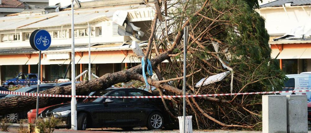 Gewittersturm in Italien: In dem Dorf Cazzago di Pianiga sind Bäume auf parkende Autos gestürzt