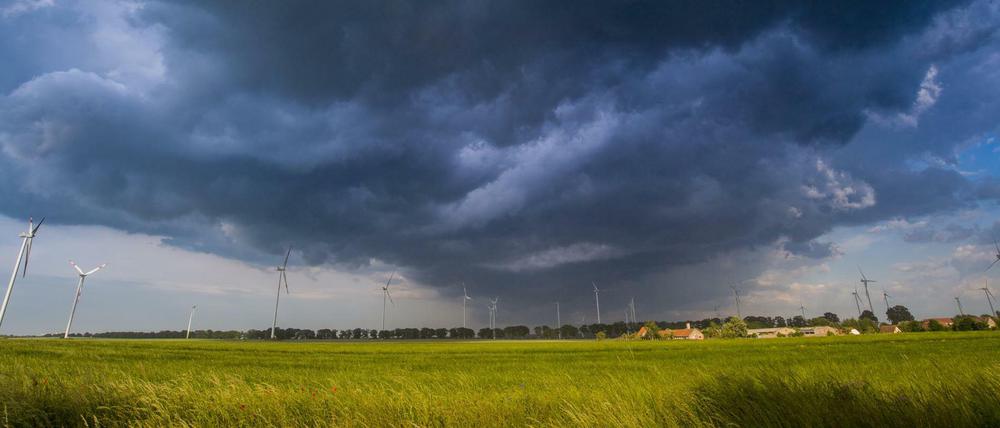 Eine dunkle Gewitterzelle zieht mit heftigen Sturmböen über ein Getreidefeld nahe Petersdorf im Landkreis Oder-Spree (Brandenburg). 