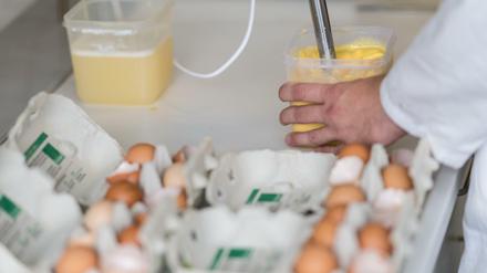 Das Chemische Veterinäruntersuchungsamt in Münster untersucht Eier auf Fipronil-Rückstände.
