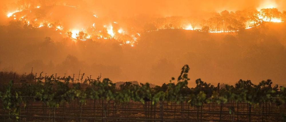 Die Brände in den Weinanbaugebieten breiten sich immer weiter aus.