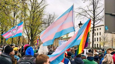 Demo für Transgender-Rechte in Berlin. 