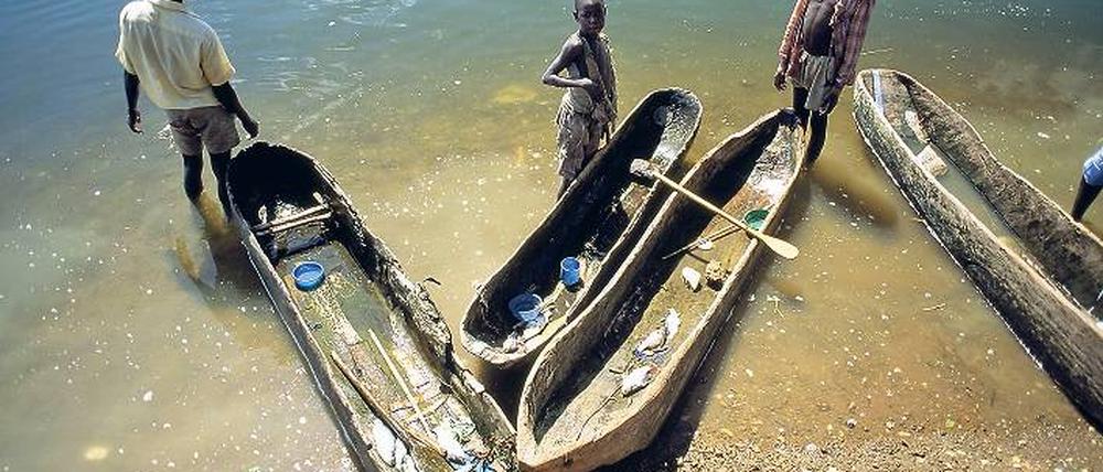Für den kleinen Fang. Mit etwas größeren Nachen werden Touristen gern zu den Nilinseln gefahren. Foto: mauritius images