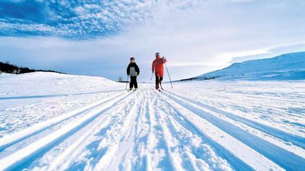 Einfach loslaufen. Durch die weiße Landschaft gleiten – nur ein Grund, den norwegischen Winter zu lieben. Foto: laif