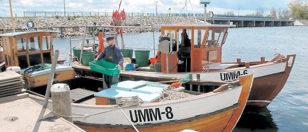 Einige Fischer fahren noch jeden Morgen von Ummanz auf die Ostsee.