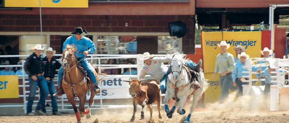 Wie im richtigen Leben. Spektakulär, doch keine Show. Auch bei der täglichen Rancharbeit haben Cowboys so manchen Ringkampf mit Jungstieren zu bestehen.