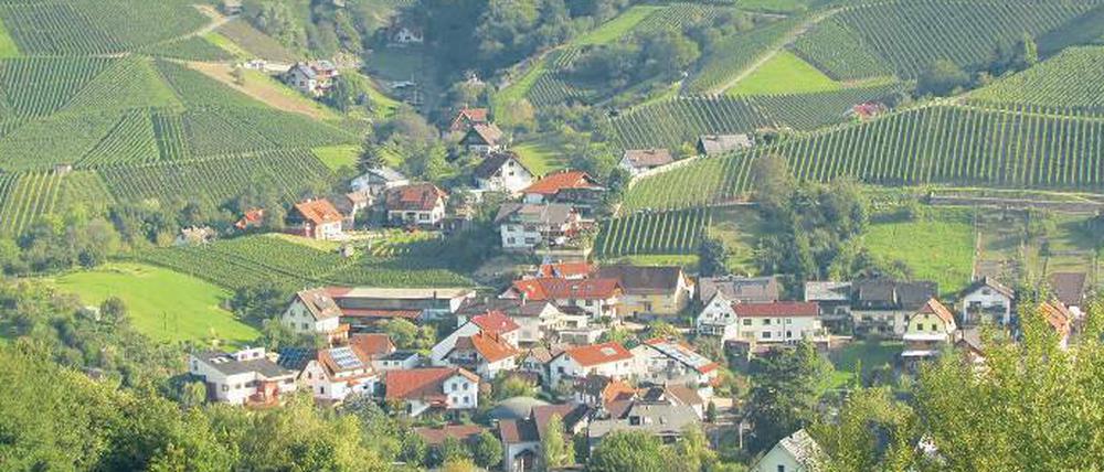 Kuscheln in Grün. Im Herbst ist Bühlertal besonders reizvoll. Wer auf der Weinroute spaziert, kann sogar Trauben naschen.