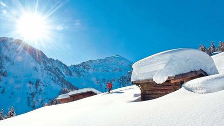 Abwärts durch den Tiefschnee. Allen Skifahrer bieten sich rund um das Alpbachtal in Tirol geeignete Piste an.