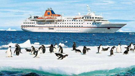 Schon wieder ein Schiff, mögen diese Pinguine denken. Ja, das Interesse an Seereisen ist ungebrochen, wobei die Antarktis schon ein recht exklusives Ziel ist. 