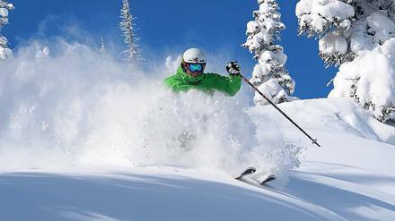 "Tree Skiing" nennen sie in Steamboat das Skifahren zwischen den verschneiten Bäumen - und der trockene Pulverschnee heißt "Champagne Powder". 