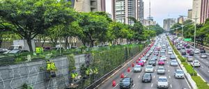  Durch die brasilianische Metropole fahren täglich fast 100.000 Fahrzeuge.