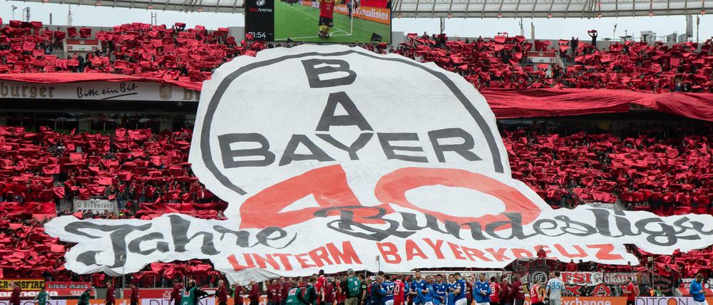 Tribüne Bayer 04 Leverkusen.