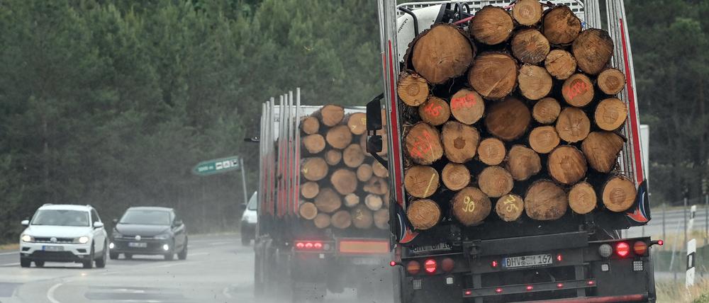 Zwei Lkw transportieren Baumstämme.
