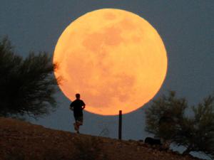In den nächsten Tagen weist der Vollmond die geringste Distanz zur Erde in diesem Jahr auf.
