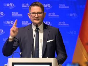 AfD-Landesparteichef René Springer.