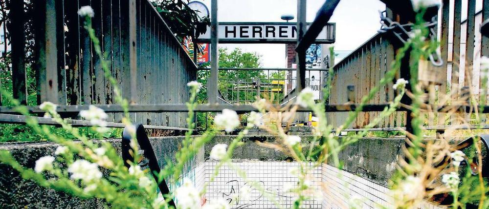 Yorckstraße in Kreuzberg und Schöneberg: Verschönerung erwünscht: Der Mittelstreifen der Yorckstraße ist zwar grün - doch ziemlich verwahrlost.