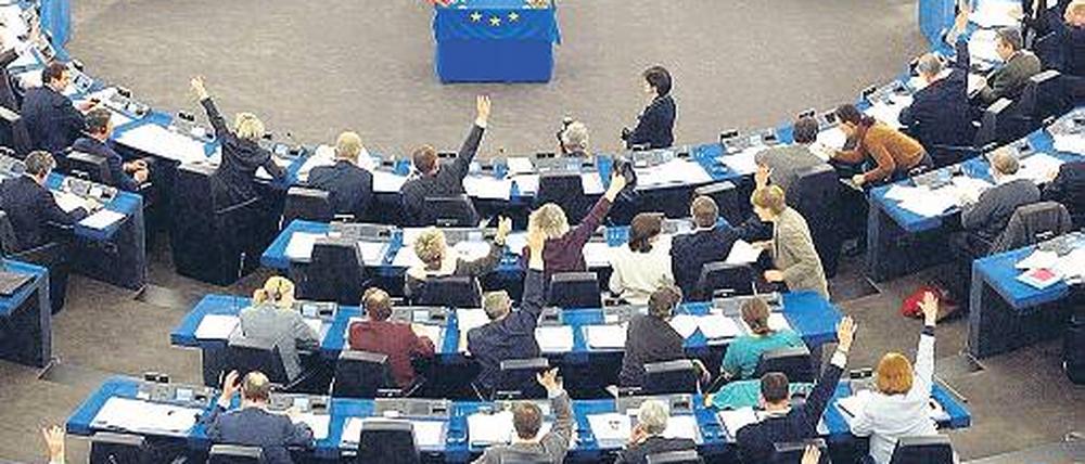 Entscheidungsträger. Im europäischen Parlament sitzen Interessenvertreter aus allen Branchen und Bereichen, ob Tabak, Energie, Umwelt oder Menschenrechte. In berufsbegleitenden Mastern kann man sich zum Lobbyisten weiterbilden, Jobgarantie inklusive. Foto: dpa