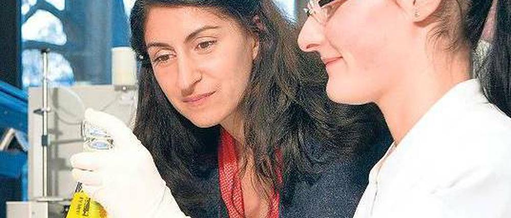 Eine Laborantin prüft, ob unerlaubte Pestizide in den Lidl-Tomaten waren. Foto: WDR