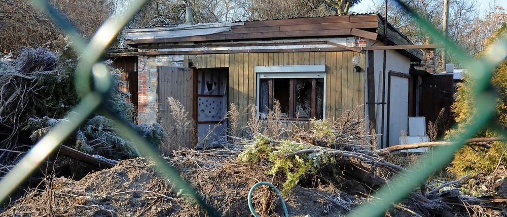 Schon lange keine Grüne Oase mehr: In der Kleingartenkolonie in der Dieselstraße in Berlin-Neukölln mussten schon einige Gärten dem Ausbau der Autobahn A 100 weichen. Nun haben Arbeiter begonnen, die Vegetation auf den ehemaligen Kleingartenanlagen zu entfernen.