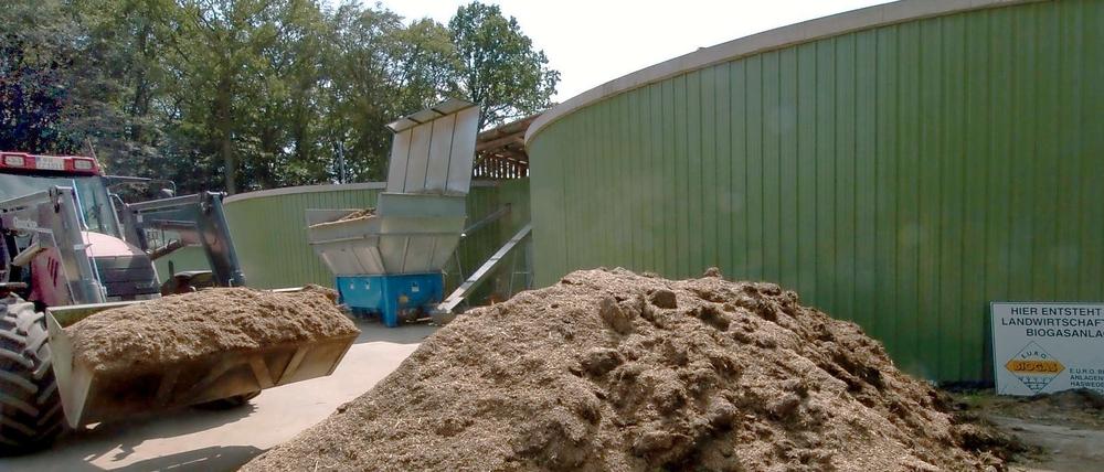 Mist oder Mais - aus vielen organischen Abfällen lässt sich Biogas erzeugen.