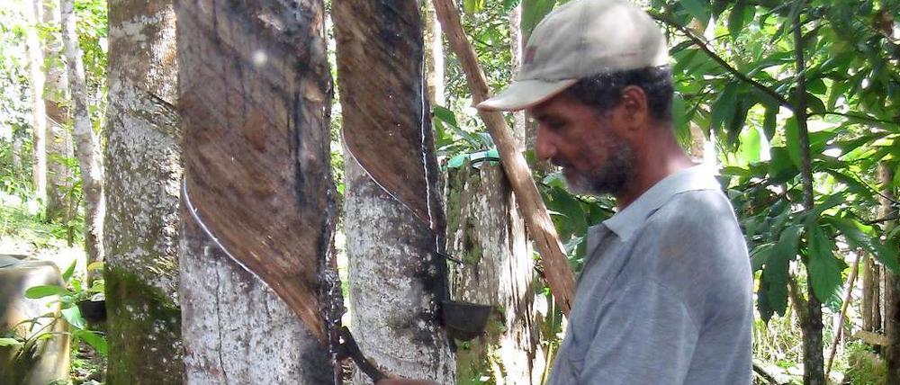 Eilson Santos ist einer von 24 Öko-Bauern in Itaracaré im brasilianischen Bundesstaat Bahia. Das Bild zeigt ihn bei der Kautschuk-Ernte.