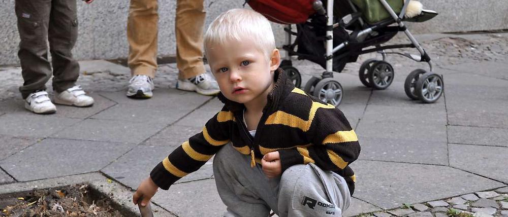 Der kleine Igor (2) gräbt fleißig die Unkrautpflanzen aus, damit das Beet in der Emdener Straße mit vielen bunten Blumen bepflanzt werden kann.