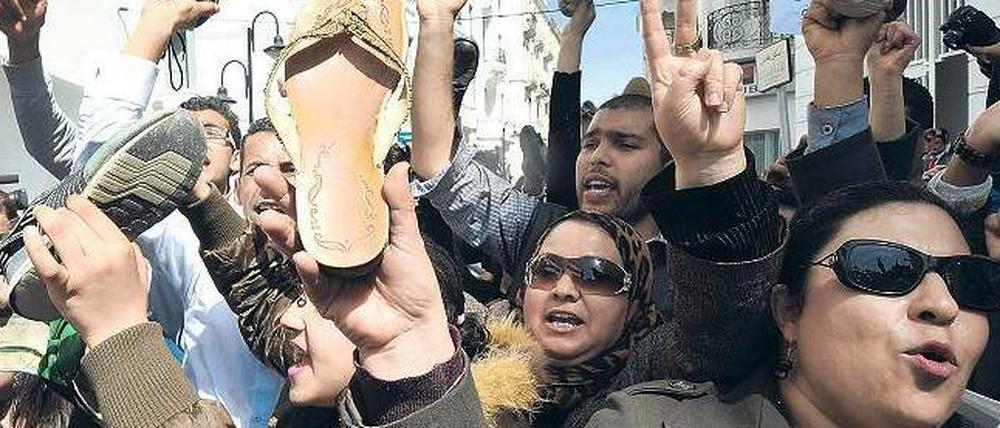 Wutbürger. Demonstranten fordern am 29. März den Rücktritt der tunesischen Frauenministerin Sihem Badi und werfen Schuhe gegen ihren Amtssitz.