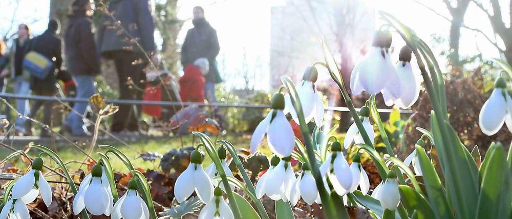 Es ist Frühling in Berlin.