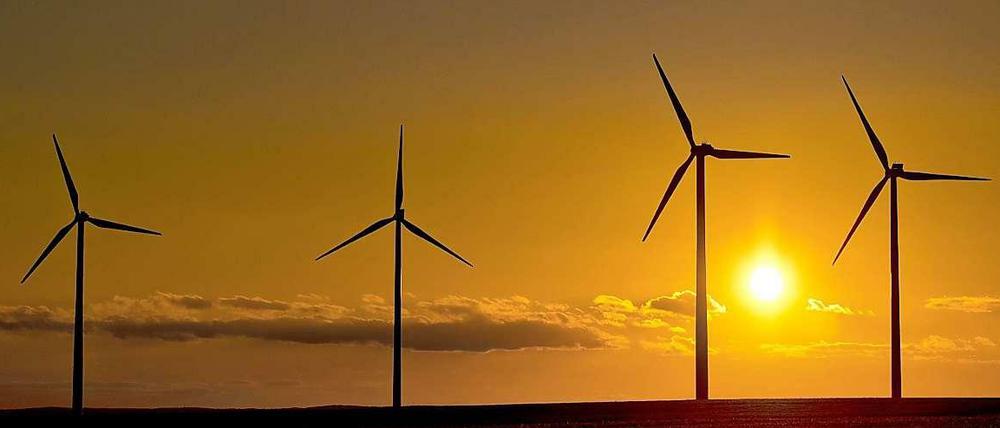 Licht und Schatten: Das reformierte Erneuerbare-Energien-Gesetz (EEG) soll vor der Sommerpause den Bundestag passieren.