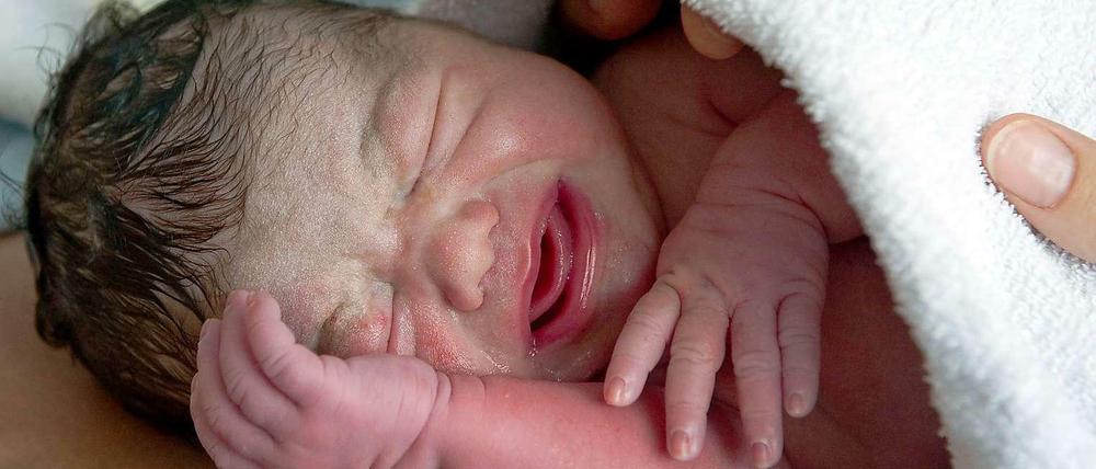Gut geschützt. Neugeborene haben bereits ein aktives Immunsystem.