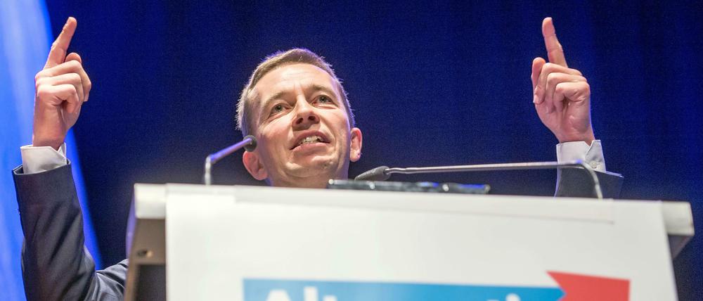 Neuer Versuch: Bei einem Parteitag Ende Januar will Bernd Lucke erneut alleiniger Parteichef werden.