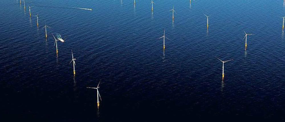 Meer investieren. Windparks und Stromnetze sind für Versicherer auf Suche nach stabilen Renditen interessant.