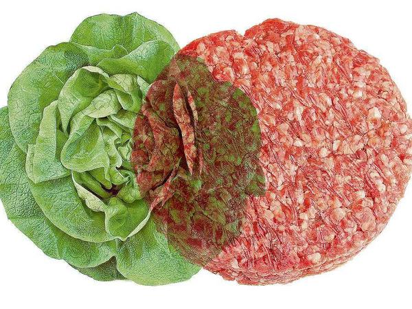 Salatkopf trifft Hackfleisch: Kann denn Liebe Sünde sein?