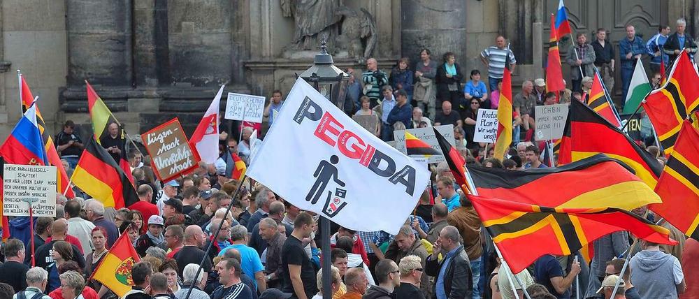 "Zwischen Bürgerprotest und Radikalisierung": Pegida-Anhänger bei einer Kundgebung in Dresden