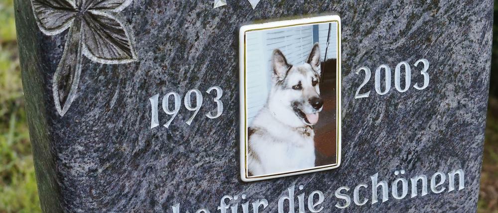 Das Grab eines Hundes. In Essen und Koblenz können sich Mensch und Tier ab sofort gemeinsam beerdigen lassen.