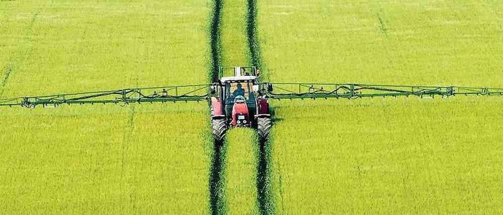Allgegenwärtig. Das Pflanzenschutzmittel Glyphosat wird auf 30 bis 40 Prozent der deutschen Äcker versprüht.