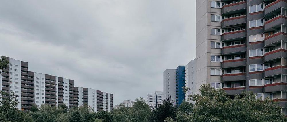 Berlin, Gropiusstadt. Wohnriesen, soweit das Auge reicht. Der Fotograf Alexander Rentsch hat einen Bildband über Berliner Großsiedlungen jenseits des S-Bahnrings verfasst. - Foto: Alexander Rentsch
